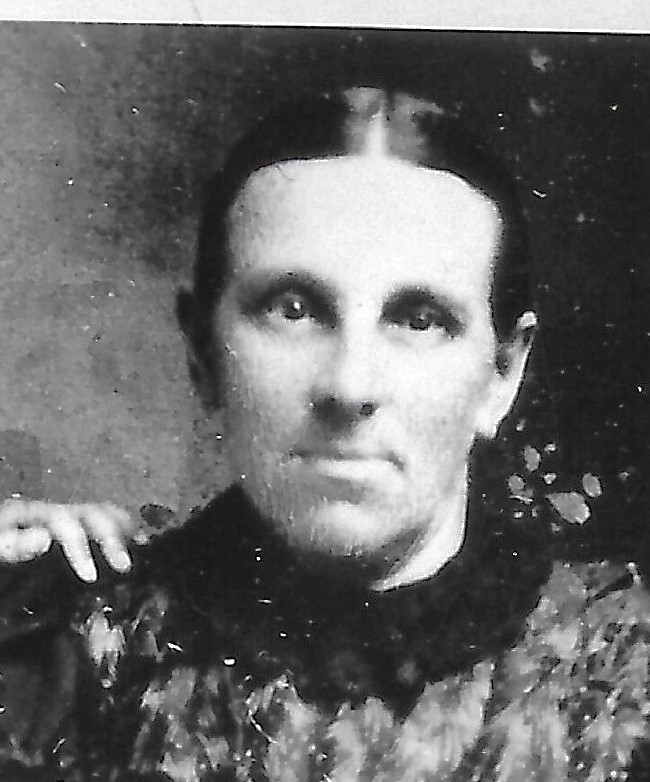 Elinor Marks Childs (1847 - 1911) Profile
